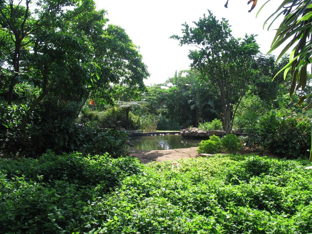 Comfort House Bed & Breakfast Ballito Ngoại thất bức ảnh